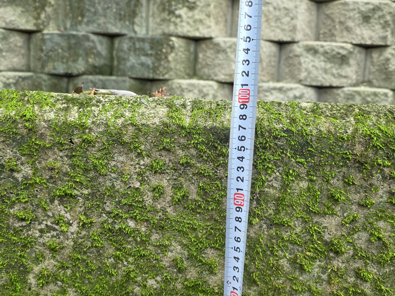 설계도서 검토 및 현장 조사 계획 수립 과정